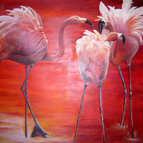 Flamants rouges